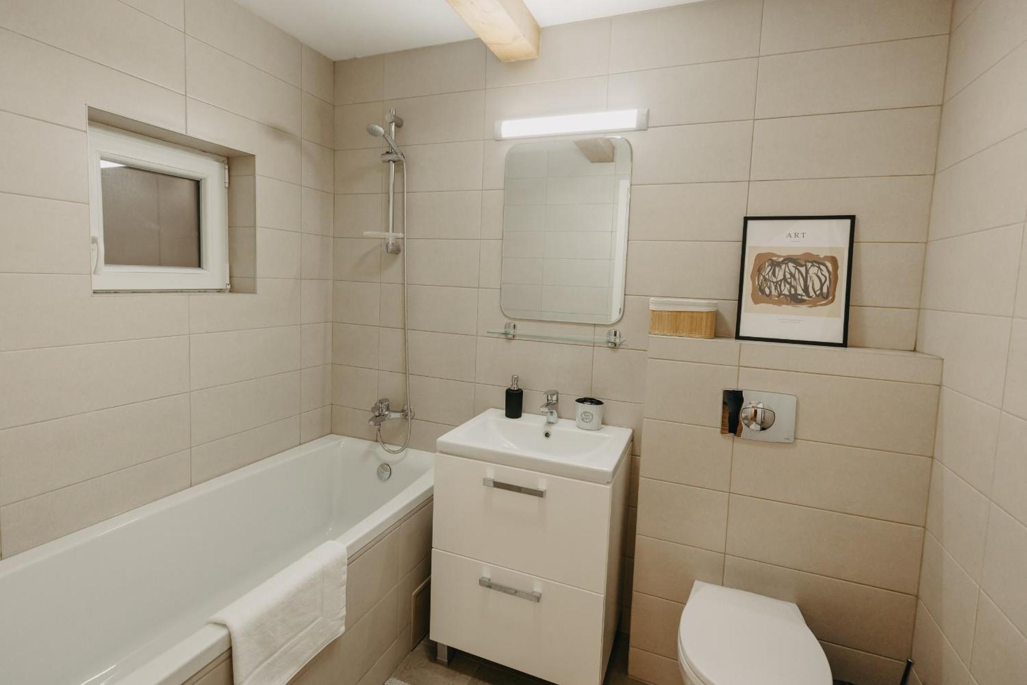 Holiday Apartments Central 蒂米什瓦拉 外观 照片