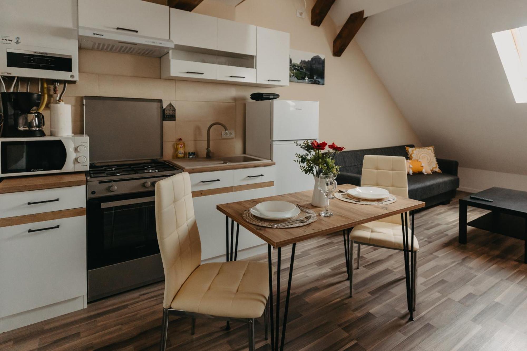 Holiday Apartments Central 蒂米什瓦拉 外观 照片