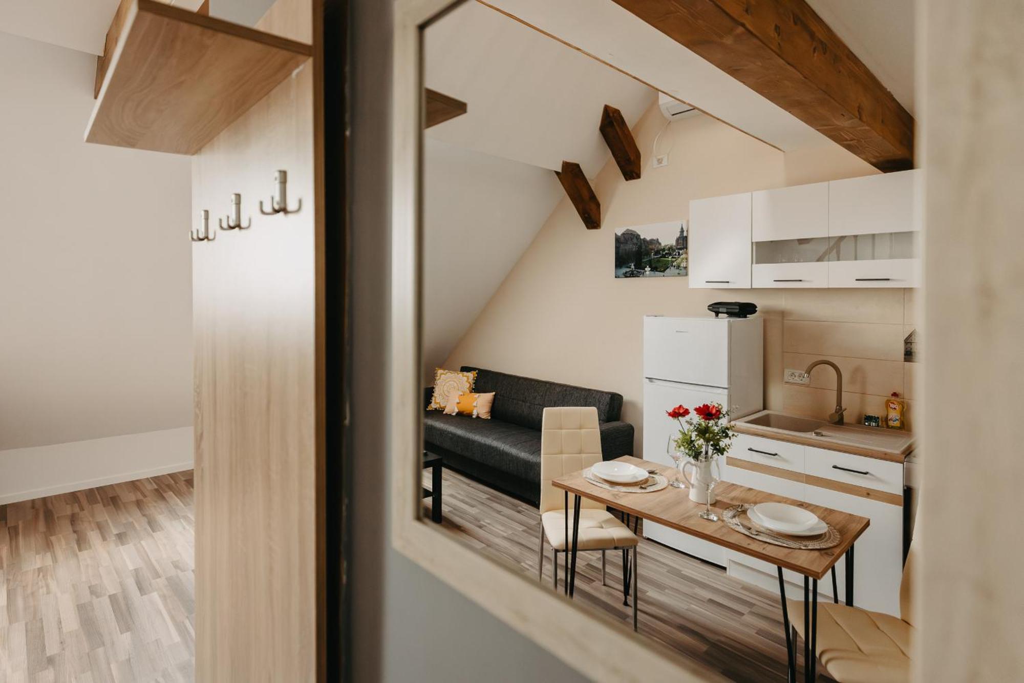 Holiday Apartments Central 蒂米什瓦拉 外观 照片
